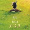 כריכה של הספר אין כמו בבית