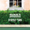 החמות - סאלי הפוורת