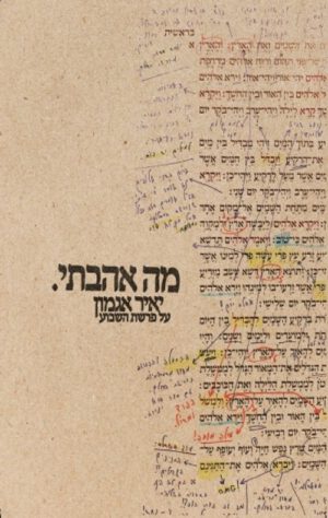 מה אהבתי - יאיר אגמון
