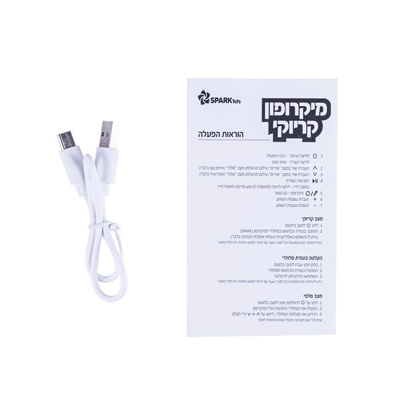 מיקרופון קריוקי ציפי שביט – תמונה 3