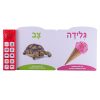 ⁦ספר מדבר המילים הראשונות שלי⁩ – תמונה ⁦3⁩