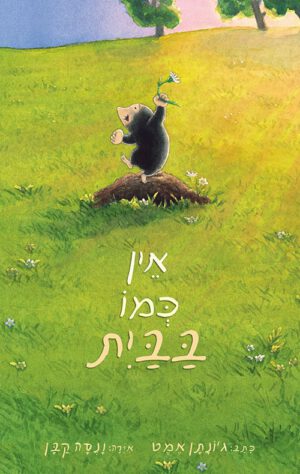 כריכה של הספר אין כמו בבית