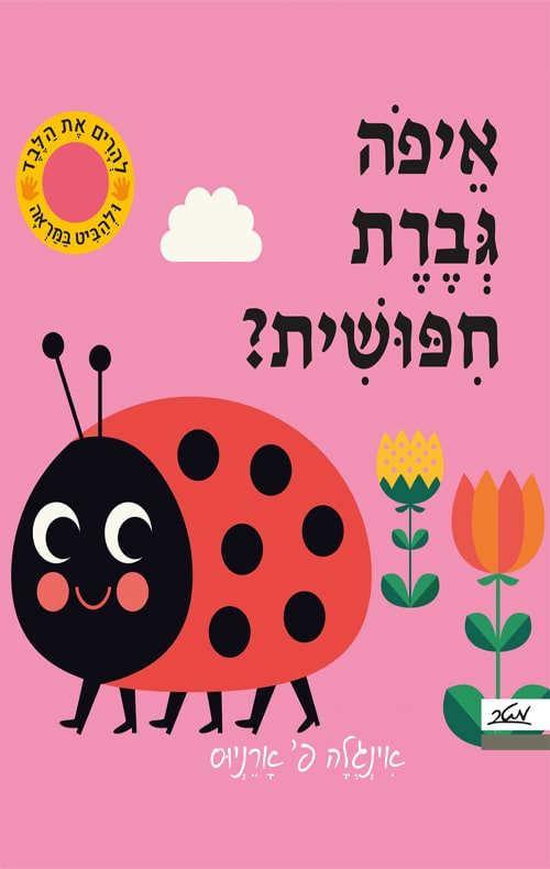הכריכה של הספר איפה גברת חפושית