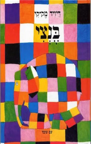 כריכה של הספר בנצי
