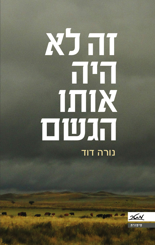 זה לא היה אותו הגשם - נורה דוד