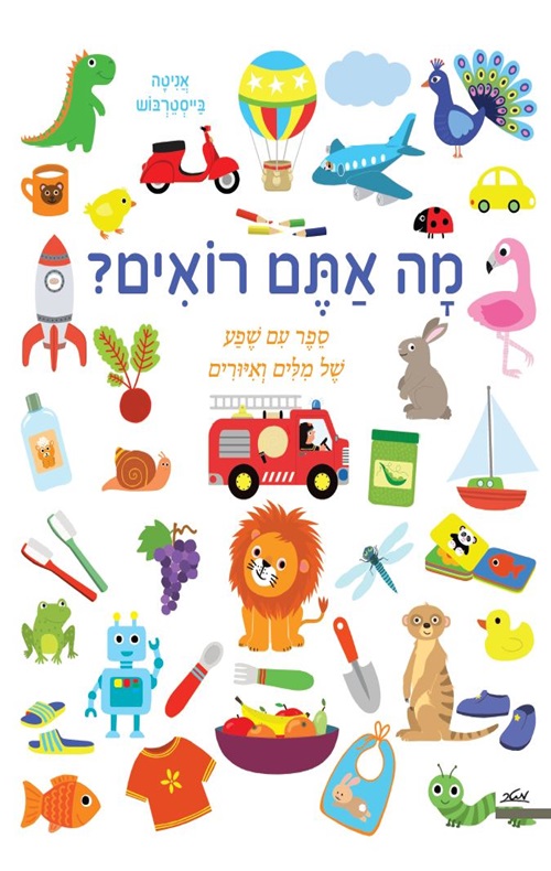 כריכה של הספר מה אתם רואים