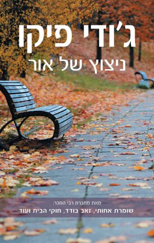 ניצוץ של אור - ג'ודי פיקו